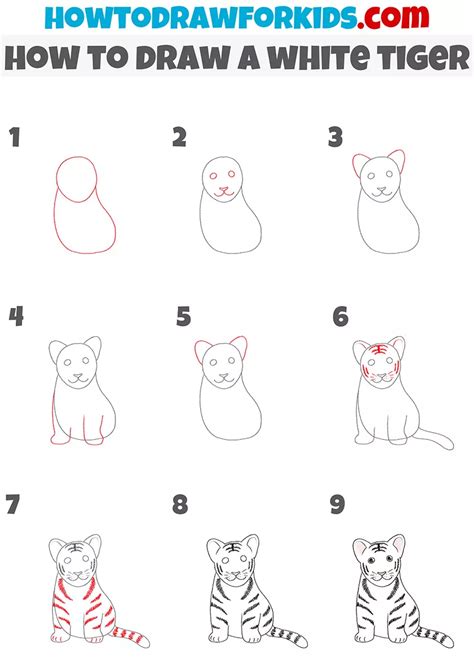 how to draw a tiger step by step|Learn How to Draw a Tiger in This Step.